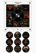 Eagles Magnetic Vinyl